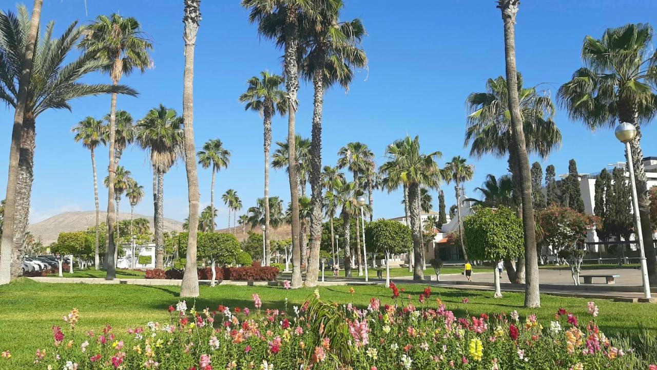 Comfortable Apartment In Las Americas, Ph317 With Pool Next To The Ocean Playa de las Americas  Esterno foto